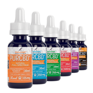 CBD Oil for Dogs